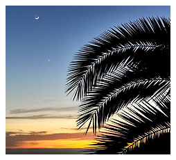 aussicht auf die casa erel la palma, terrasse, hängematte