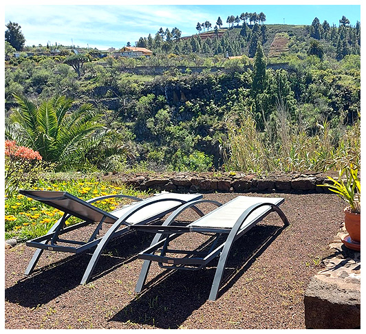 casa palmera terrasse