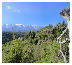 aussicht auf den roque de los muchachos la palma mit schnee